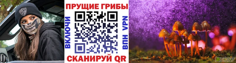 Галлюциногенные грибы Magic Shrooms  Купить закладки  Сычёвка 